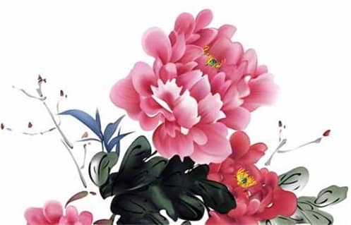 肖年好运网