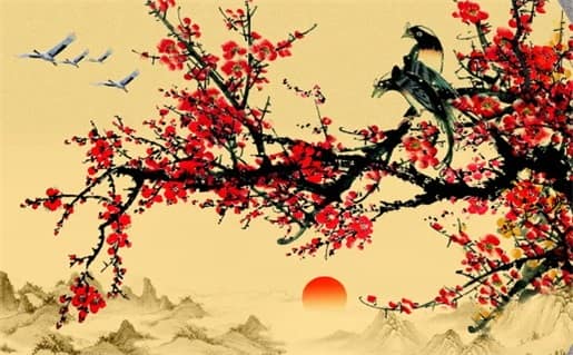 肖年好运网