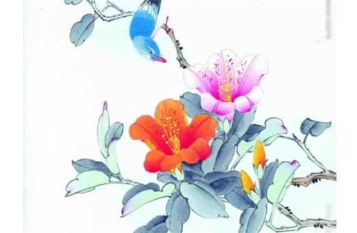 肖年好运网