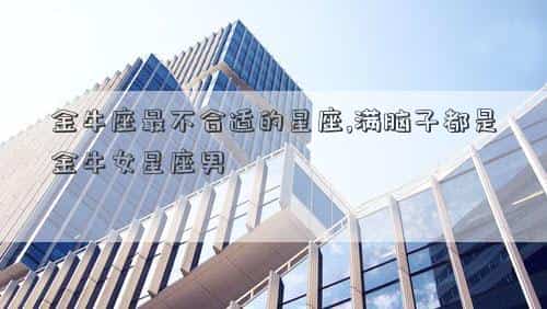 金牛座不合适的星座，金牛座最不合适的星座,满脑子都是金牛女星座男