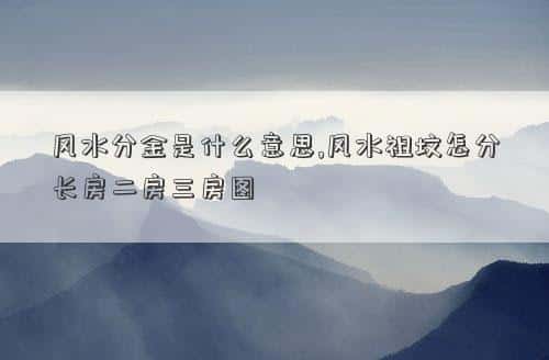 风水分金的目的是什么，风水分金是什么意思,风水祖坟怎分长房二房三房图