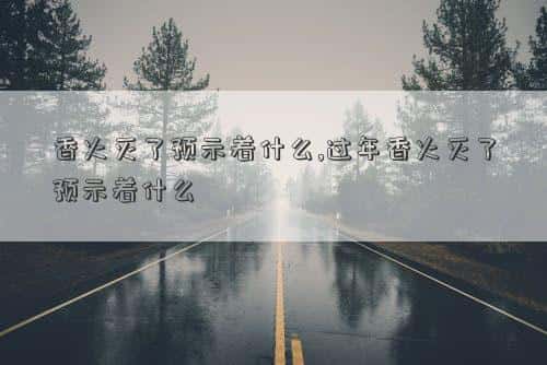 肖年好运网