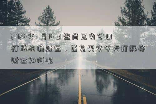 肖年好运网