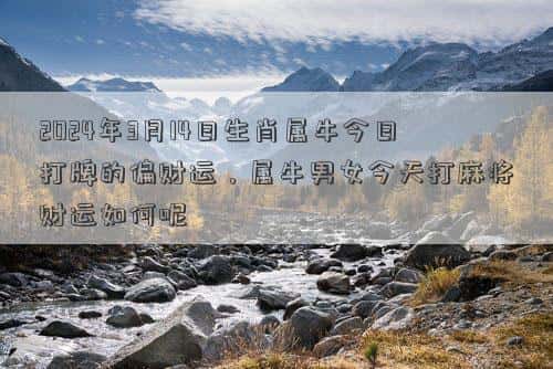 肖年好运网