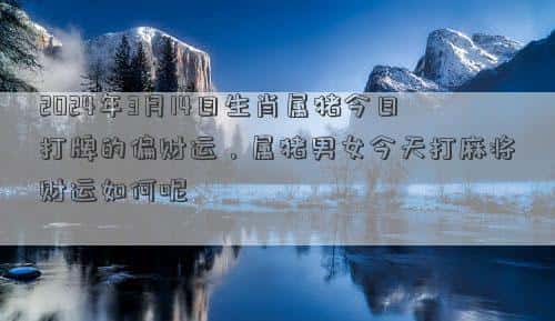 肖年好运网