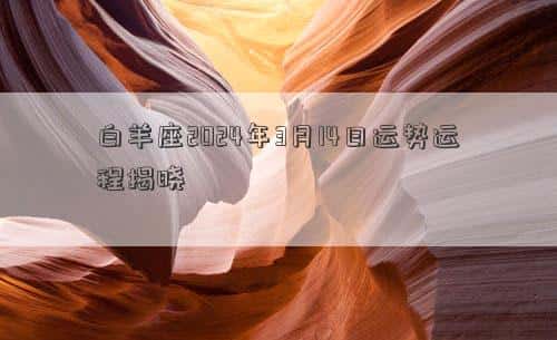 肖年好运网