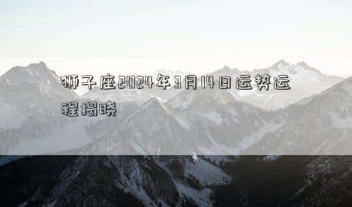 肖年好运网
