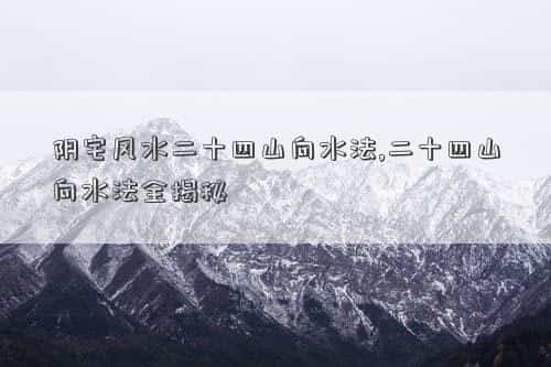 肖年好运网
