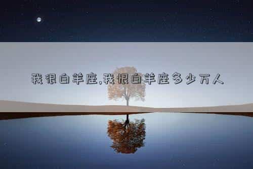 肖年好运网