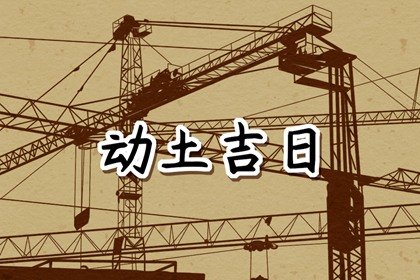 青睐网