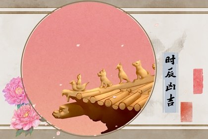青睐网