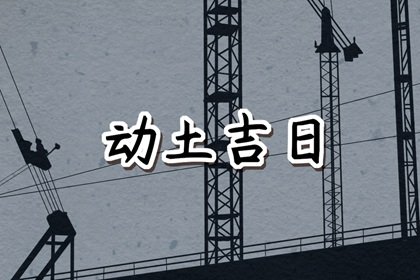 青睐网
