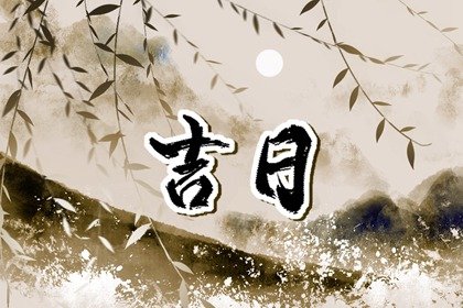青睐网