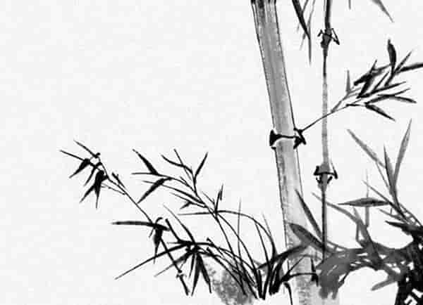 属鼠属虎在一起好不好，属鼠和属虎的人在一起能合作吗他们的思想决策不同