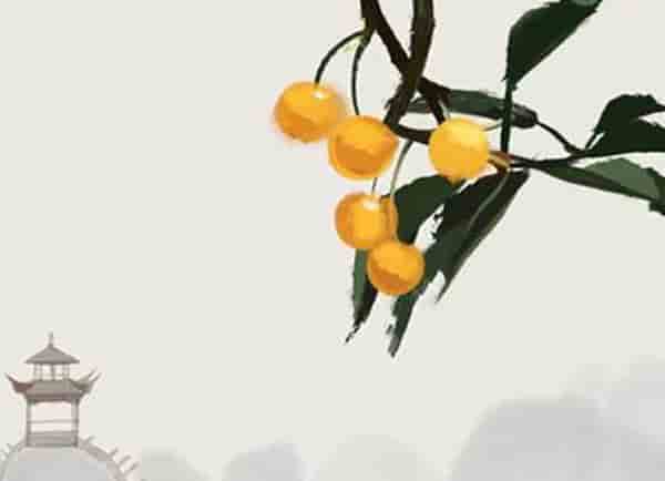 属鼠属虎相配吗在一起好吗，属鼠属虎相配吗在爱情上他们会有矛盾