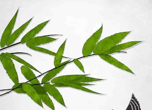属鼠和属兔的结婚了该怎么办，属鼠和属兔的会结婚吗他们的速配度低