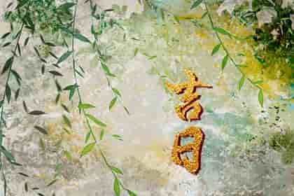 买车吉日早知道&nbsp;2024年十月合适生肖鼠提车的日子