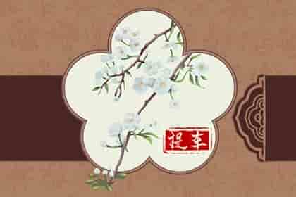 青睐网