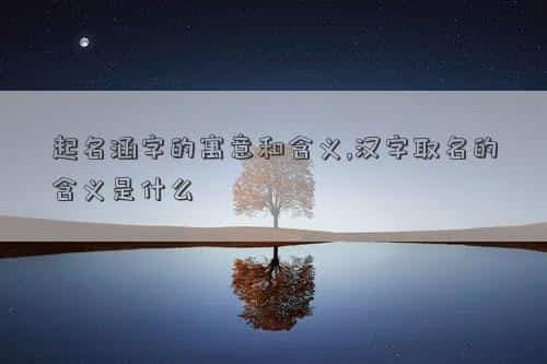 肖年好运网