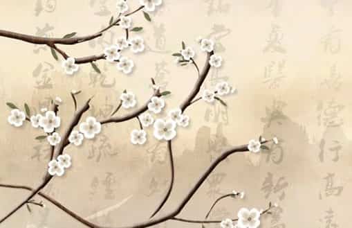 四柱八字预测配偶相貌，四柱八字预测配偶相貌通过八字谈配偶身高