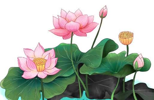 怎样判断正缘出现的时间，怎样知道正缘出现了,两个人能成为夫妻的预兆