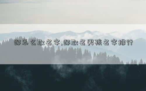 肖年好运网