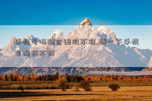 手机号码测吉凶，手机号吗测吉凶准不准,测一下手机号码是不是吉日