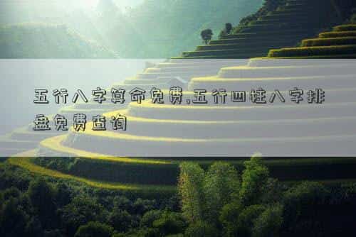 八字五行测算测命格，五行八字算命免费,五行四柱八字排盘免费查询