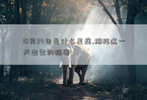 10月24日是什么花语，10月24日是什么星座,揭秘这一天出生的秘密