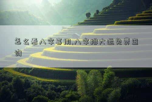 怎么看八字喜用忌用，怎么看八字喜用,八字排大运免费查询