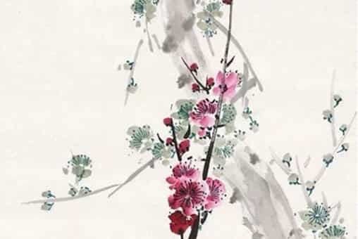 属虎和属龙的夫妻买房21层好还是19层好，属虎和属龙的夫妻结局性格缺陷影响事业