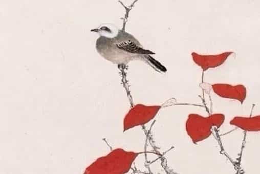 属虎和什么属相最合财，属虎和属龙的人配成一对吗强烈保护欲的肖虎人