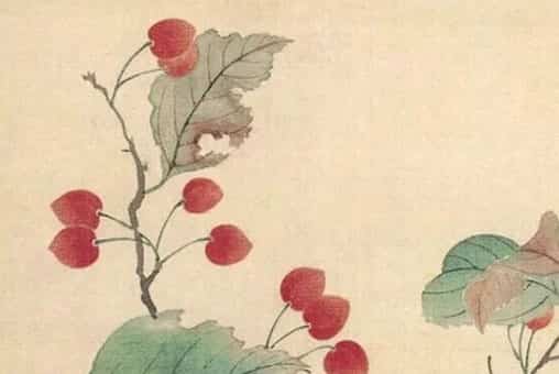 为什么蛇和兔不能做夫妻周公解梦呢，为什么蛇和兔不能做夫妻蛇配兔利于婚姻生活