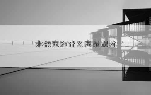 水瓶座和什么座最不合，水瓶座和什么座最配对