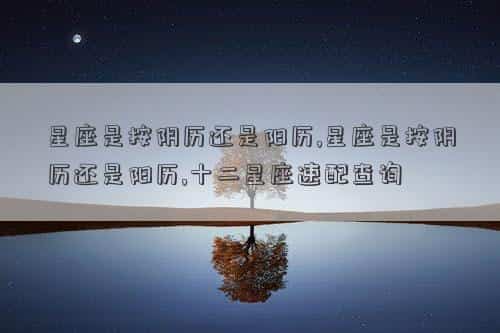 肖年好运网