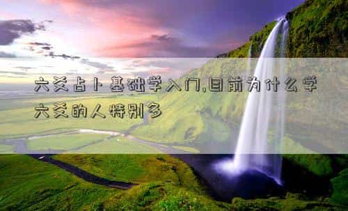 肖年好运网