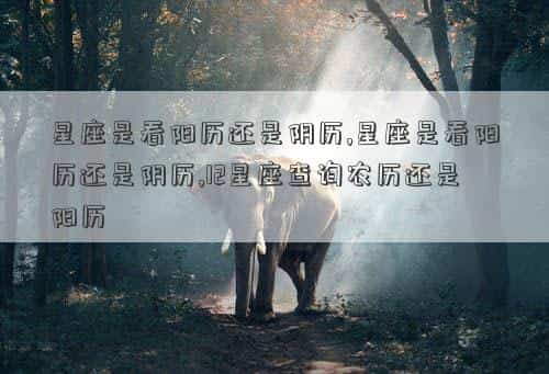 肖年好运网