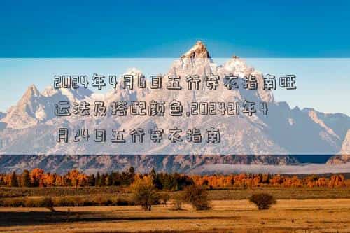 肖年好运网