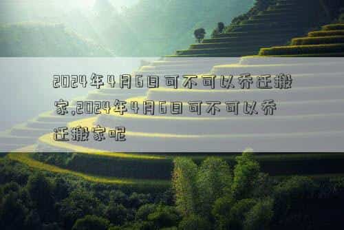 肖年好运网