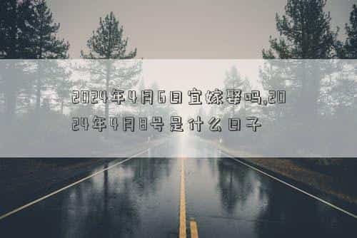 肖年好运网