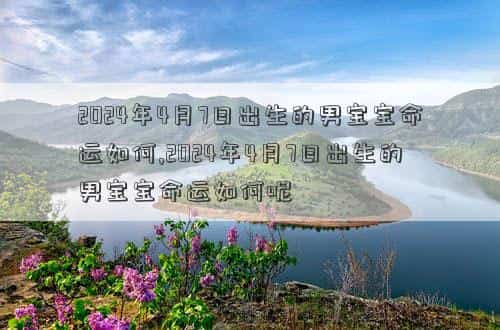 肖年好运网