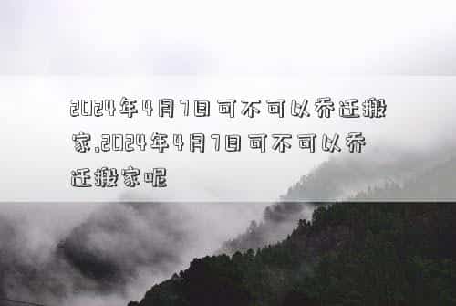 肖年好运网