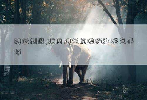 院内转运案例分析，转运制度,院内转运的流程和注意事项