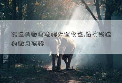 转运的微信头像，转运的微信昵称大全女生,最有财运的微信昵称