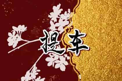 免费测提车吉日&nbsp;2024年腊月生肖羊接新车什么日子最好