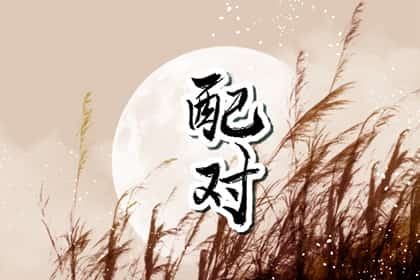 属龙女和属猪男的配对好吗，龙女跟猪男合不合