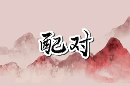 男猪女兔能过一辈子吗，男猪女兔婚姻怎么样