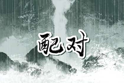 生肖兔和生肖狗合不合，，属兔和属狗的合吗