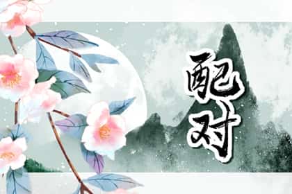 生肖兔和生肖兔合不合，属兔属相与什么属相不合