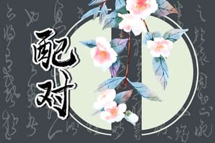 两个属猴的在一起合不合，猴和猴婚配合不合
